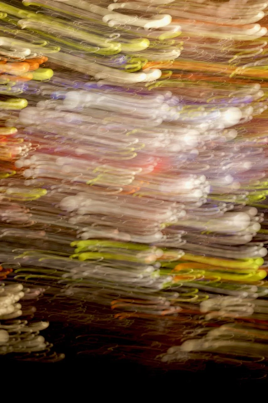  Movement 2024:256 (2024) C-print on wood panel, 60"x40" 