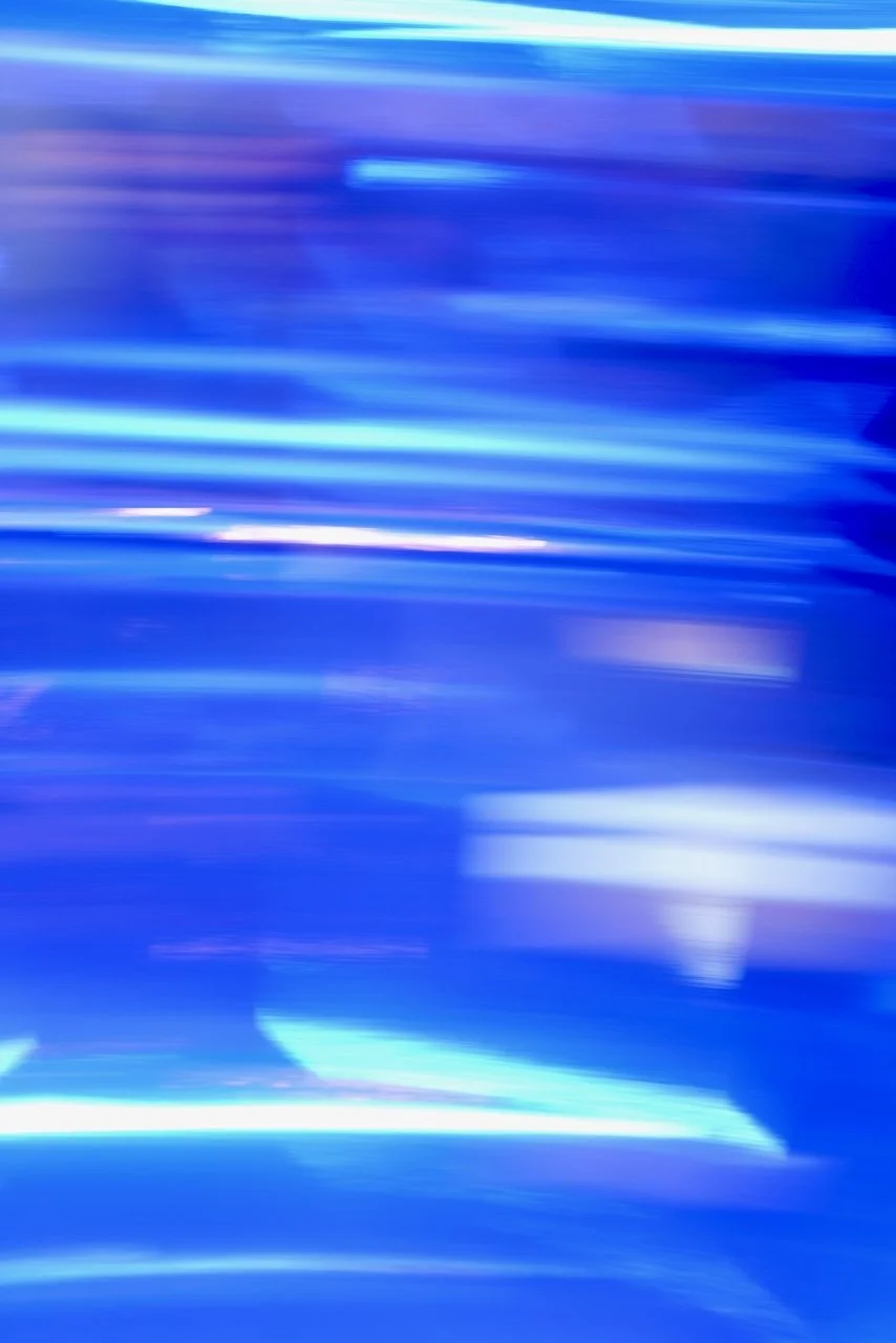  Movement 2024:259 (2024) C-print on wood panel, 60"x40" 