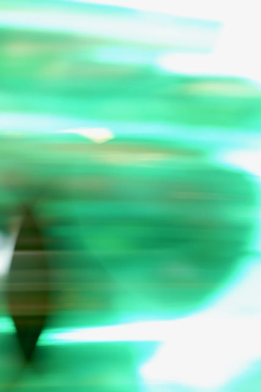  Movement 2024:262 (2024) C-print on wood panel, 60"x40" 