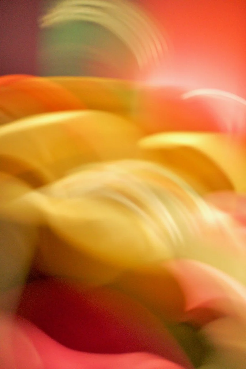  Movement 2024:271 (2024) C-print on wood panel, 60"x40" 