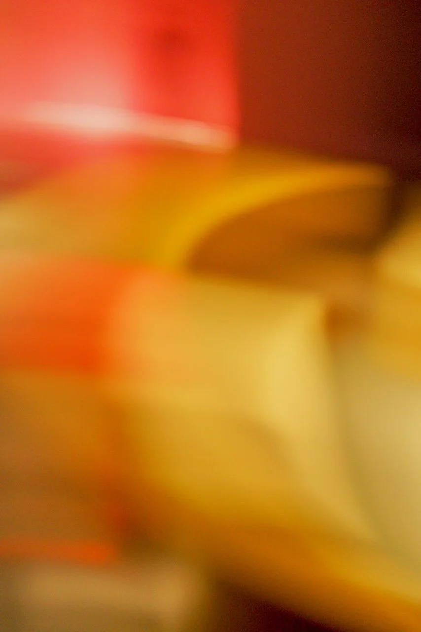  Movement 2024:277 (2024) C-print on wood panel, 60"x40" 