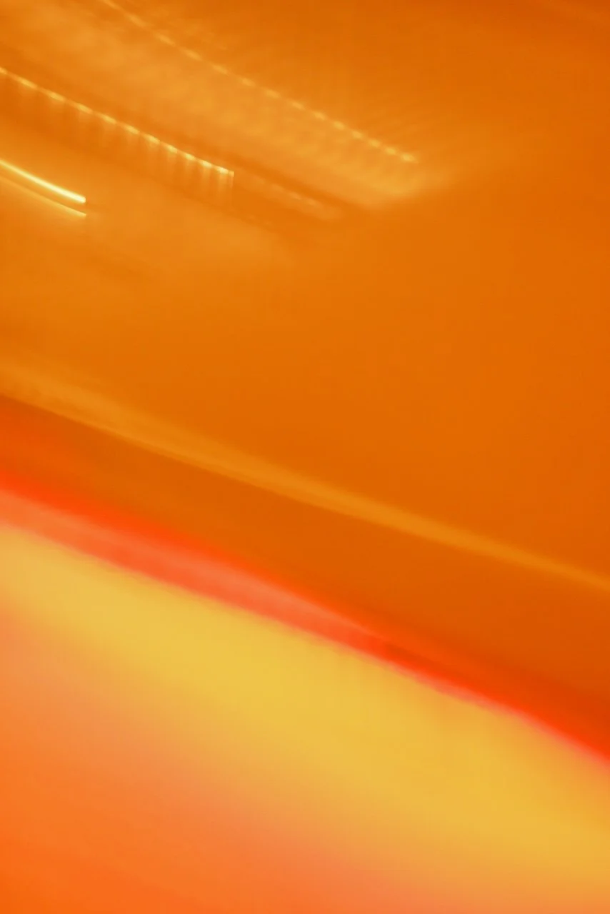  Movement 2024:283 (2024) C-print on wood panel, 60"x40" 