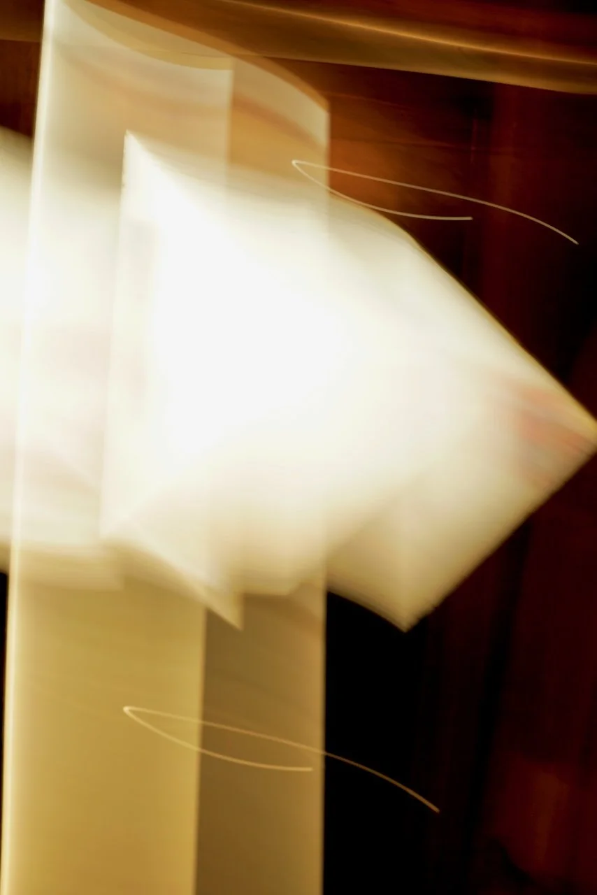  Movement 2024:285 (2024) C-print on wood panel, 60"x40" 