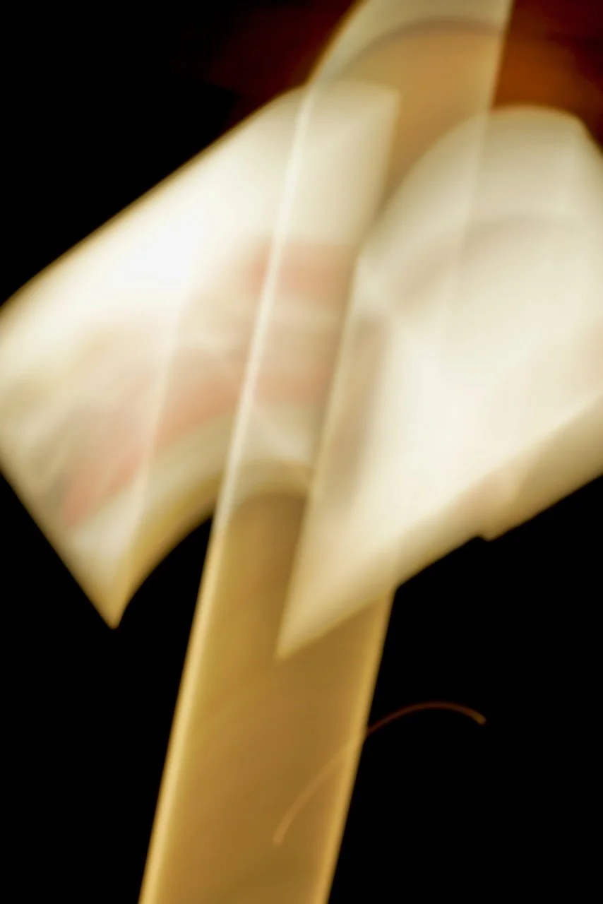  Movement 2024:288 (2024) C-print on wood panel, 60"x40" 