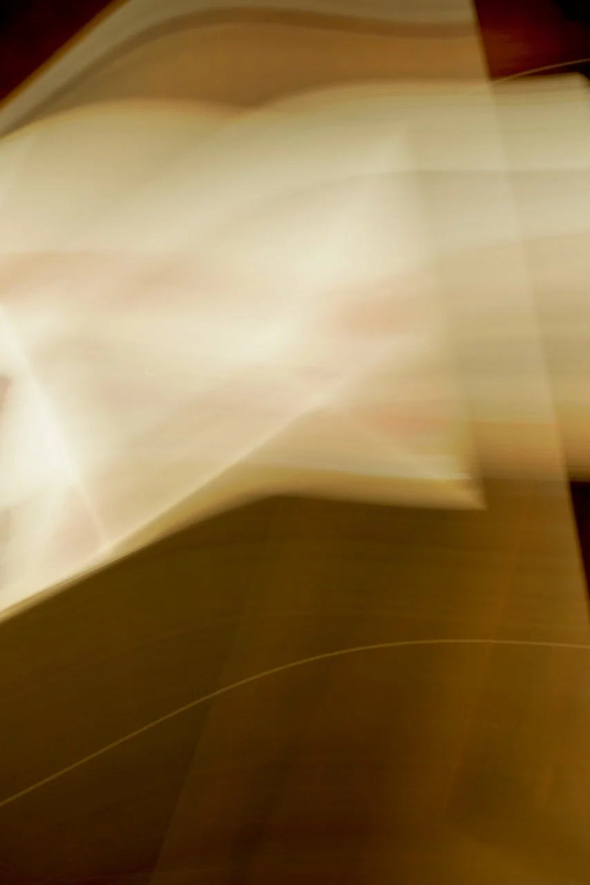  Movement 2024:290 (2024) C-print on wood panel, 60"x40" 