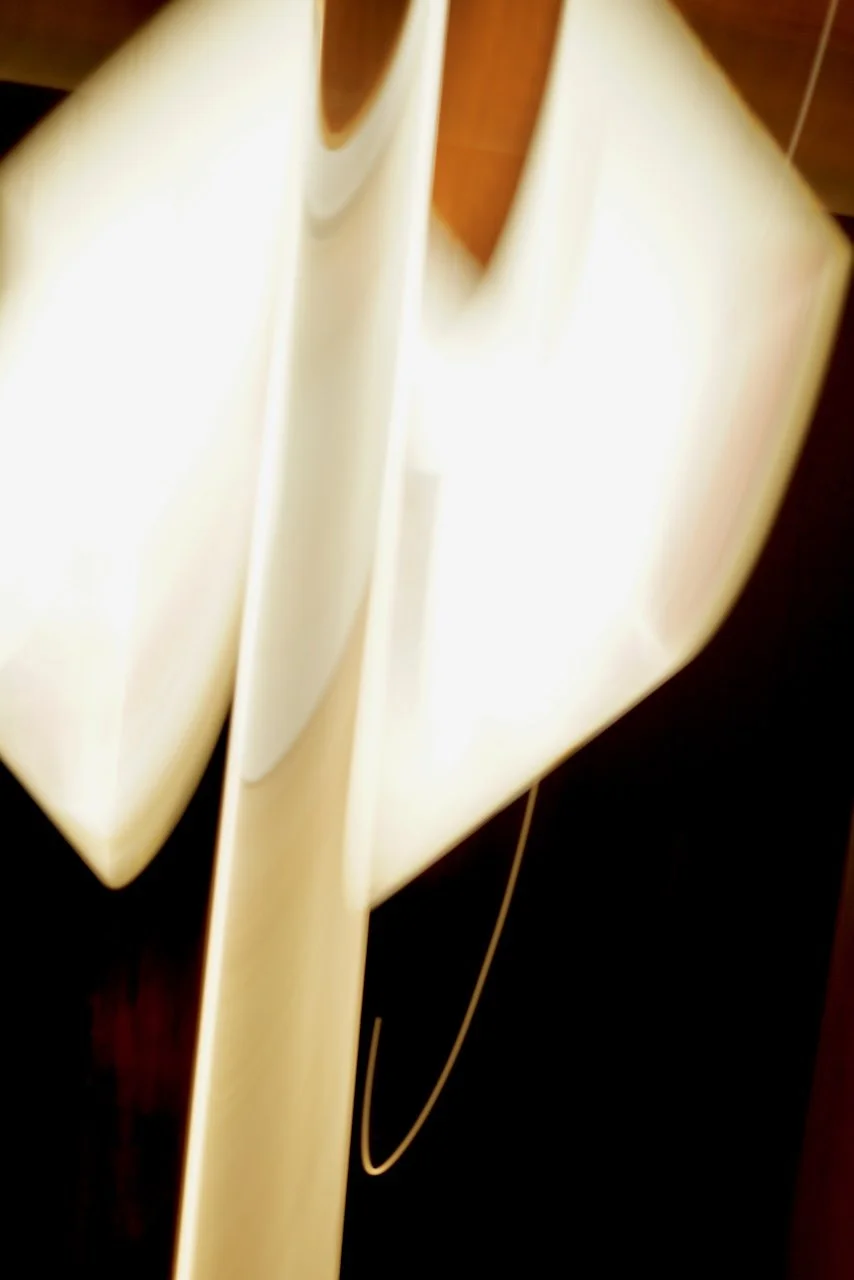  Movement 2024:292 (2024) C-print on wood panel, 60"x40" 