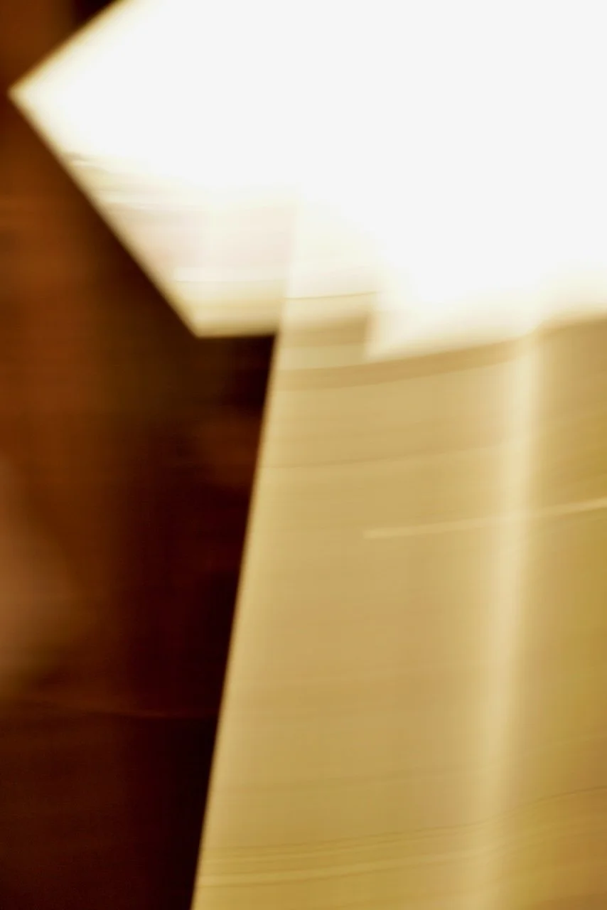  Movement 2024:293 (2024) C-print on wood panel, 60"x40" 