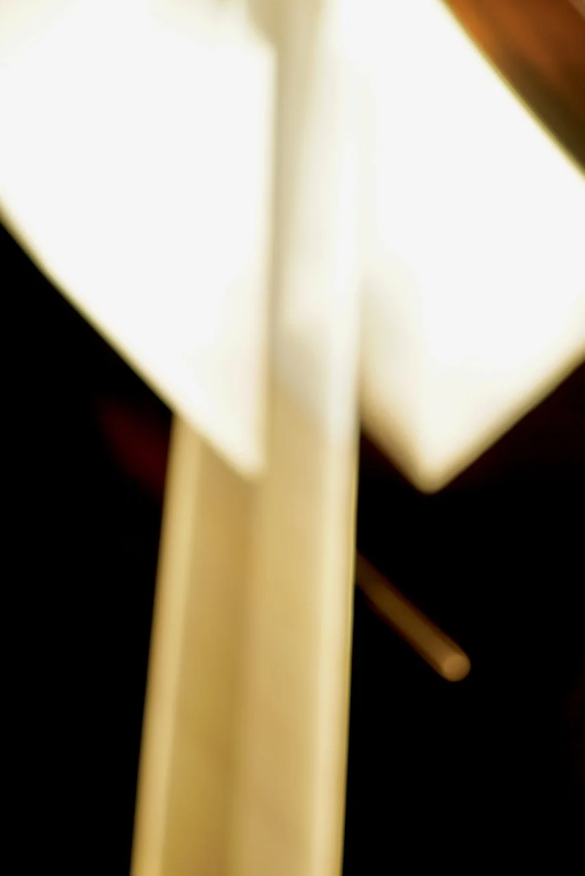  Movement 2024:294 (2024) C-print on wood panel, 60"x40" 