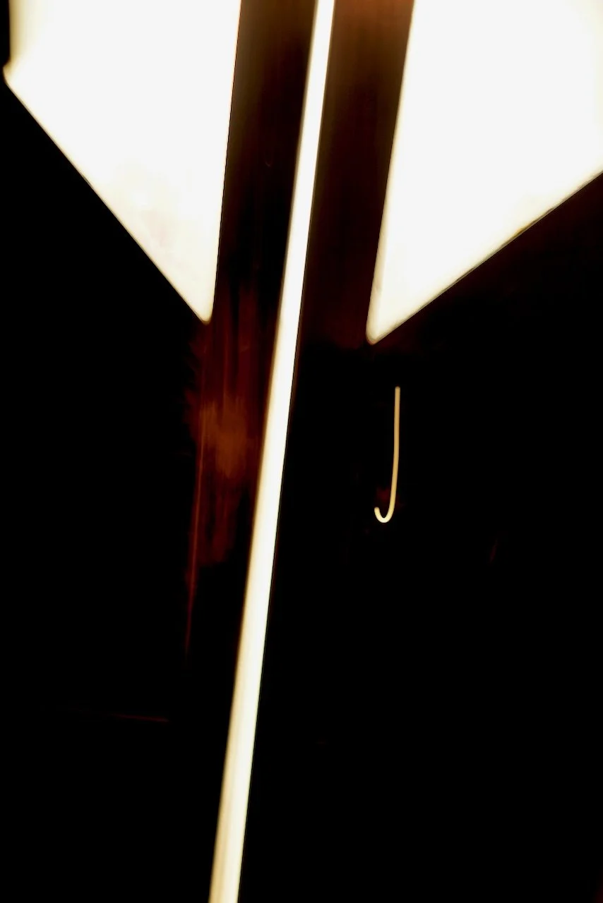  Movement 2024:295 (2024) C-print on wood panel, 60"x40" 