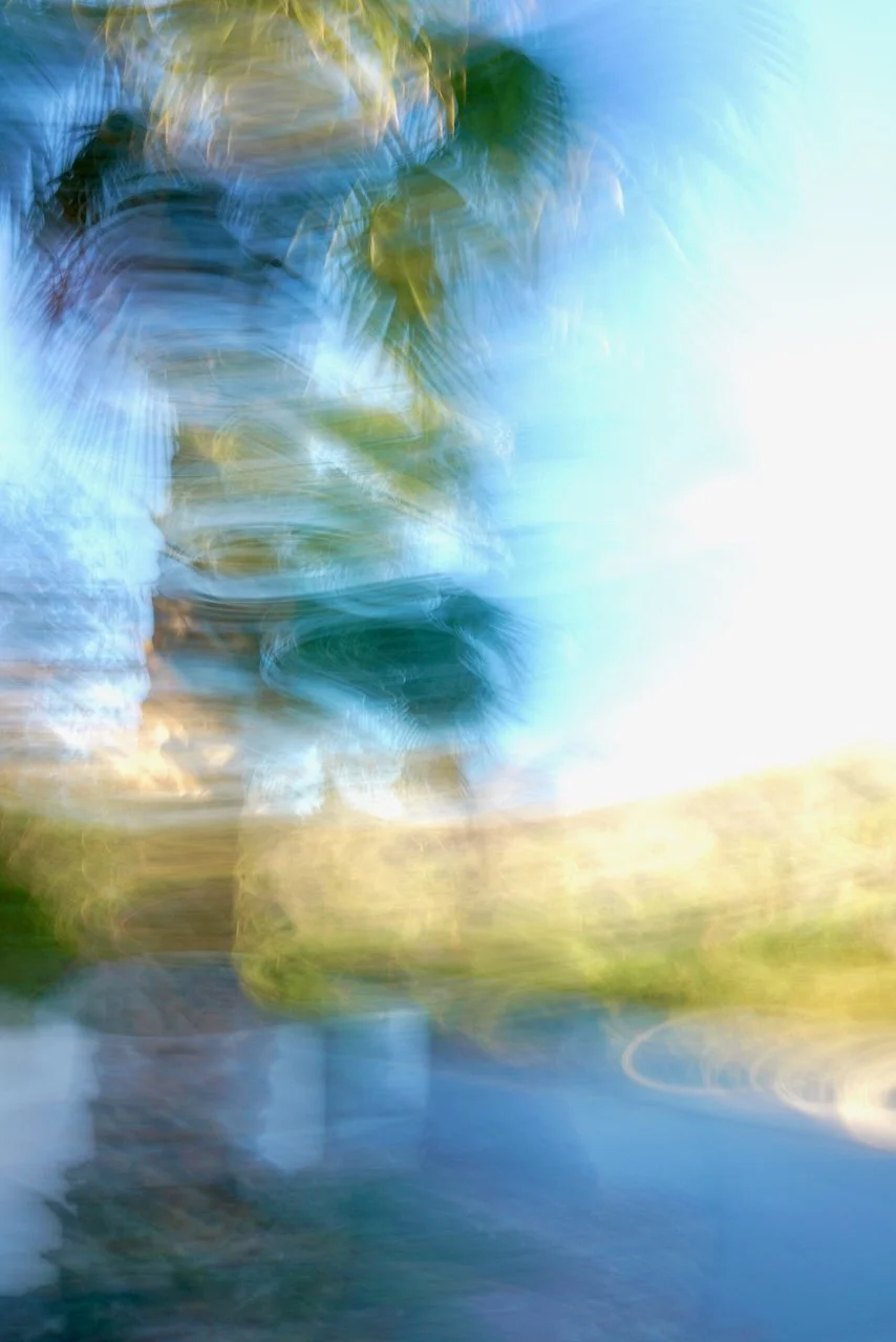  Movement 2024:306 (2024) C-print on wood panel, 60"x40" 