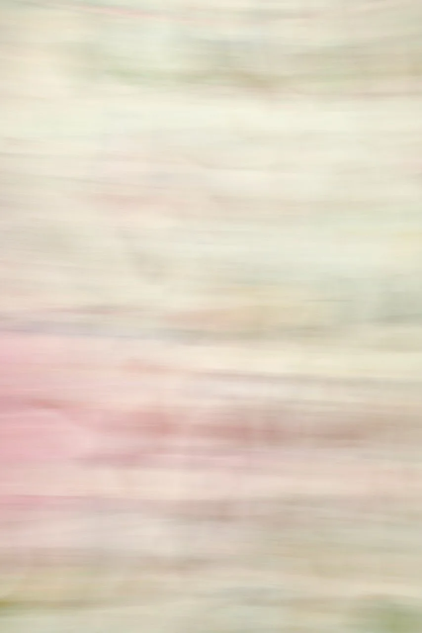  Movement 2024:307 (2024) C-print on wood panel, 60"x40" 