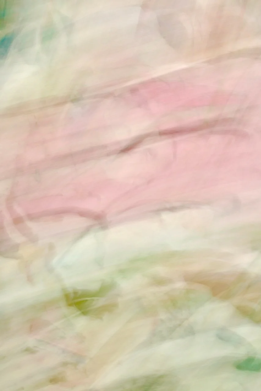  Movement 2024:308 (2024) C-print on wood panel, 60"x40" 