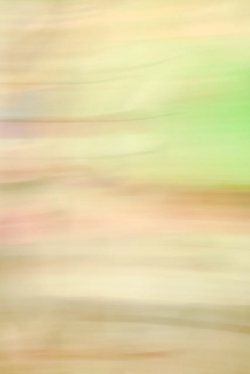  Movement 2024:309 (2024) C-print on wood panel, 60"x40" 