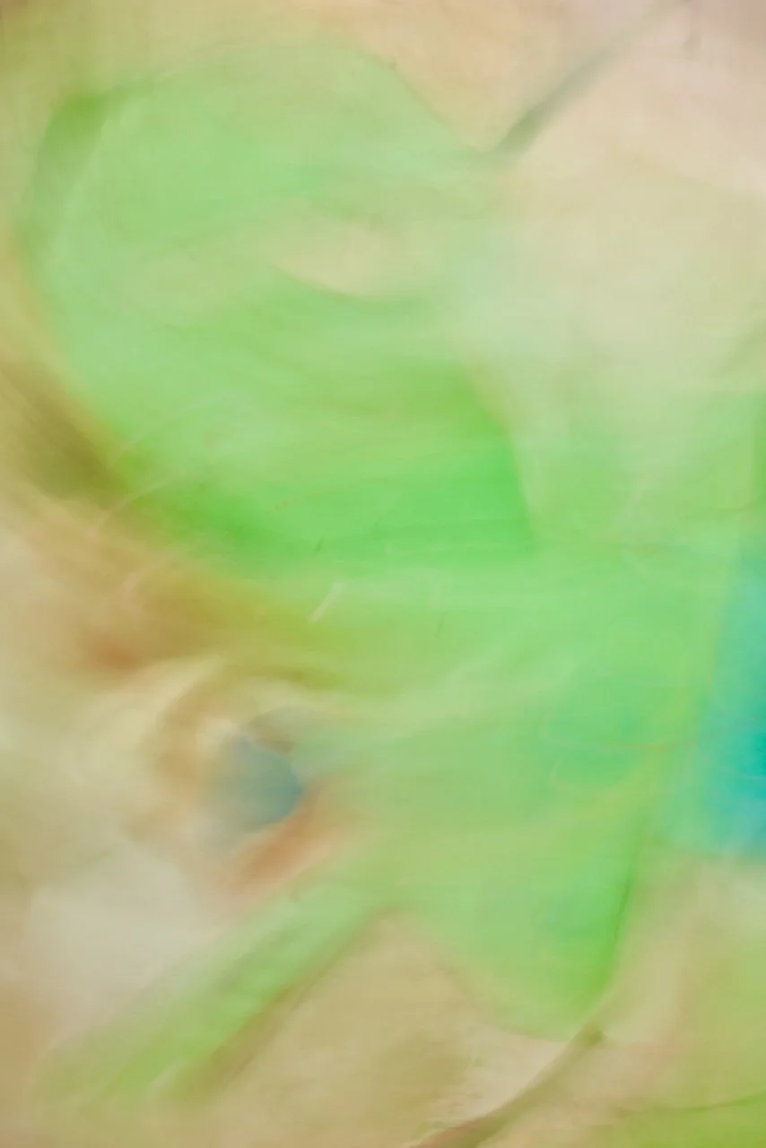  Movement 2024:310 (2024) C-print on wood panel, 60"x40" 