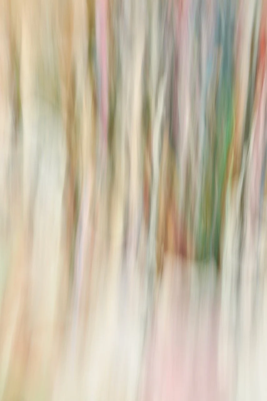  Movement 2024:313 (2024) C-print on wood panel, 60"x40" 