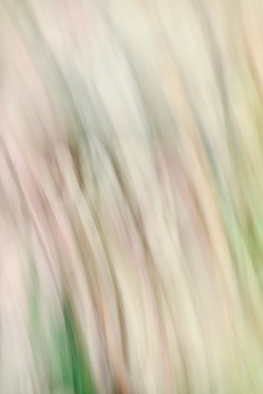  Movement 2024:315 (2024) C-print on wood panel, 60"x40" 