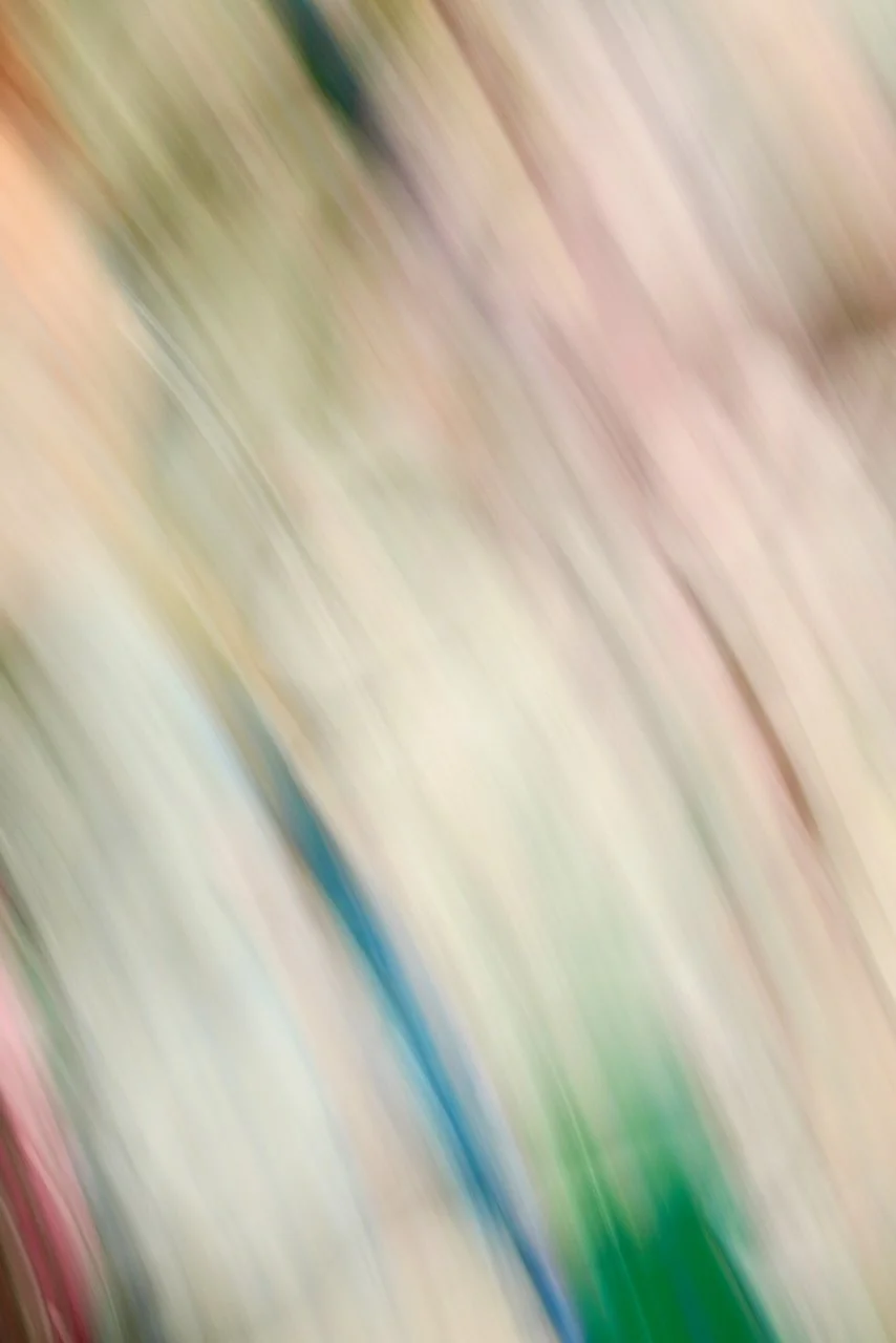  Movement 2024:316 (2024) C-print on wood panel, 60"x40" 