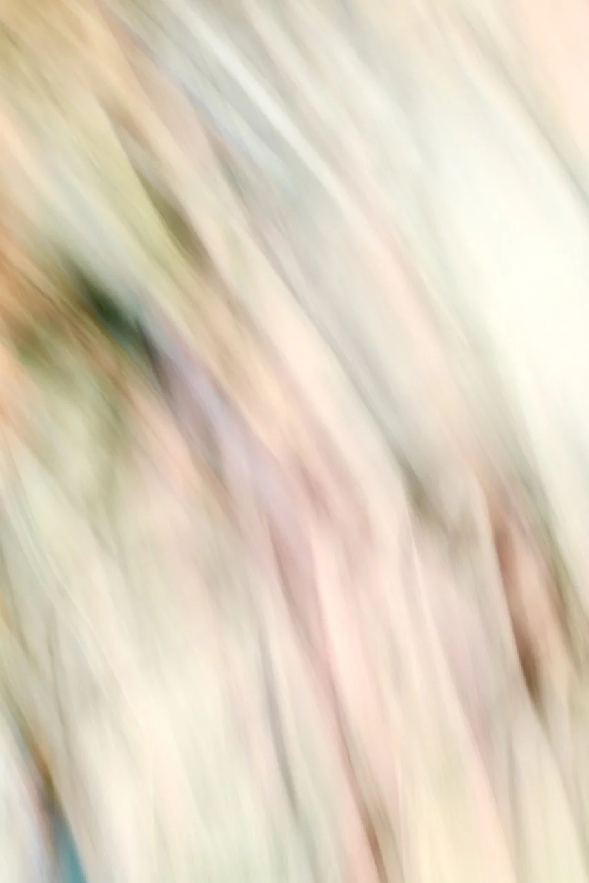  Movement 2024:317 (2024) C-print on wood panel, 60"x40" 