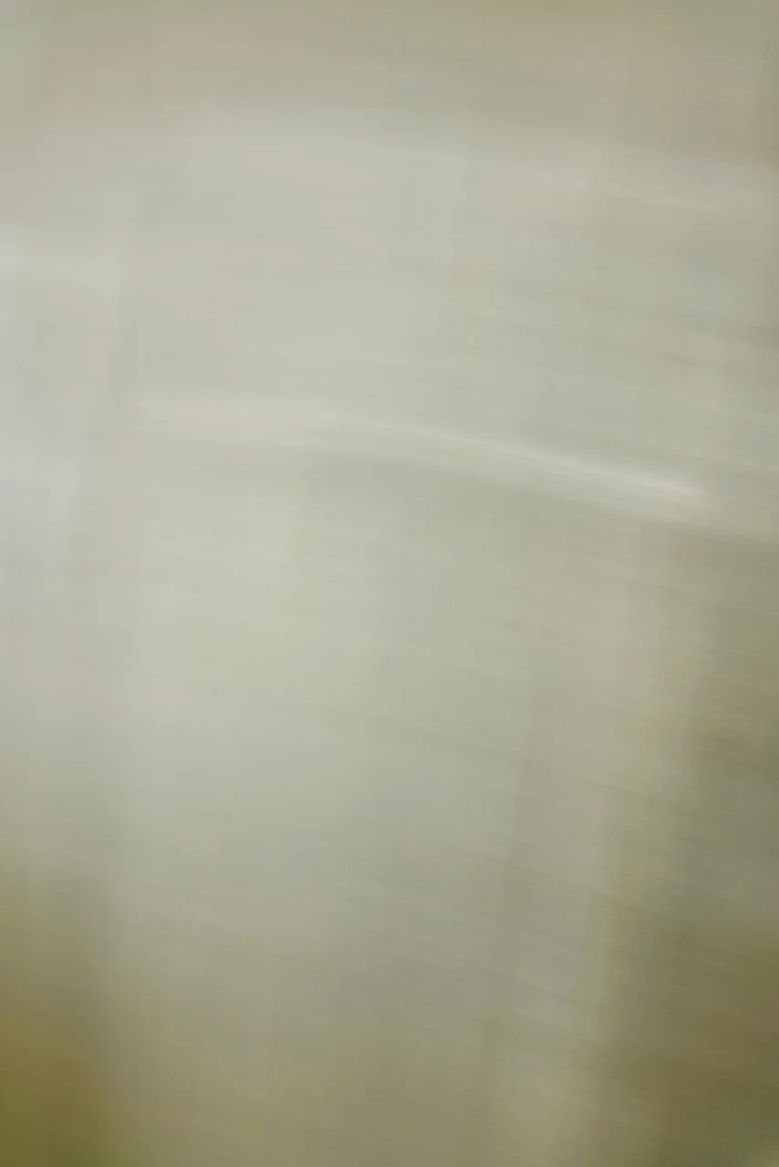  Movement 2024:318 (2024) C-print on wood panel, 60"x40" 