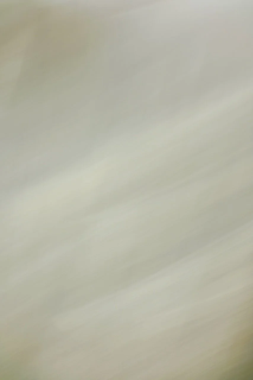  Movement 2024:319 (2024) C-print on wood panel, 60"x40" 