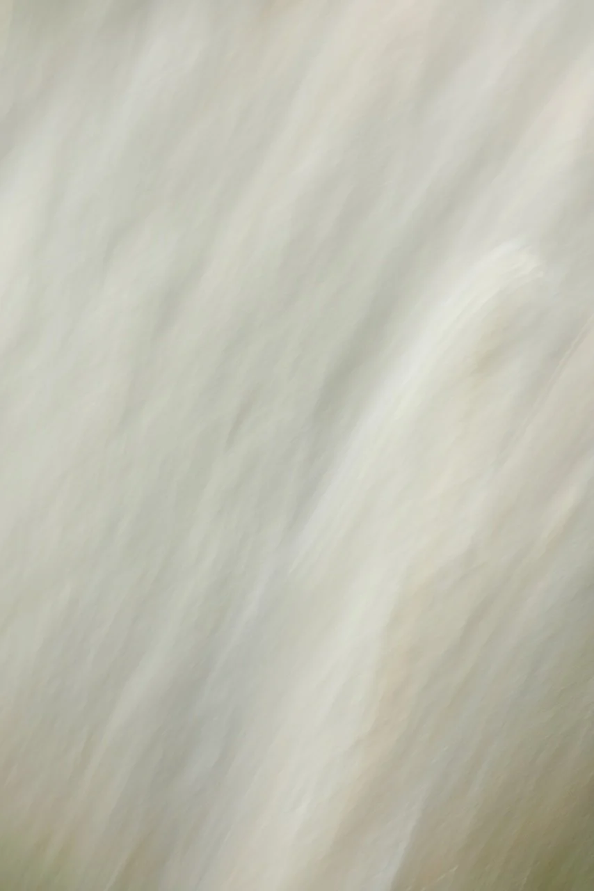  Movement 2024:320 (2024) C-print on wood panel, 60"x40" 