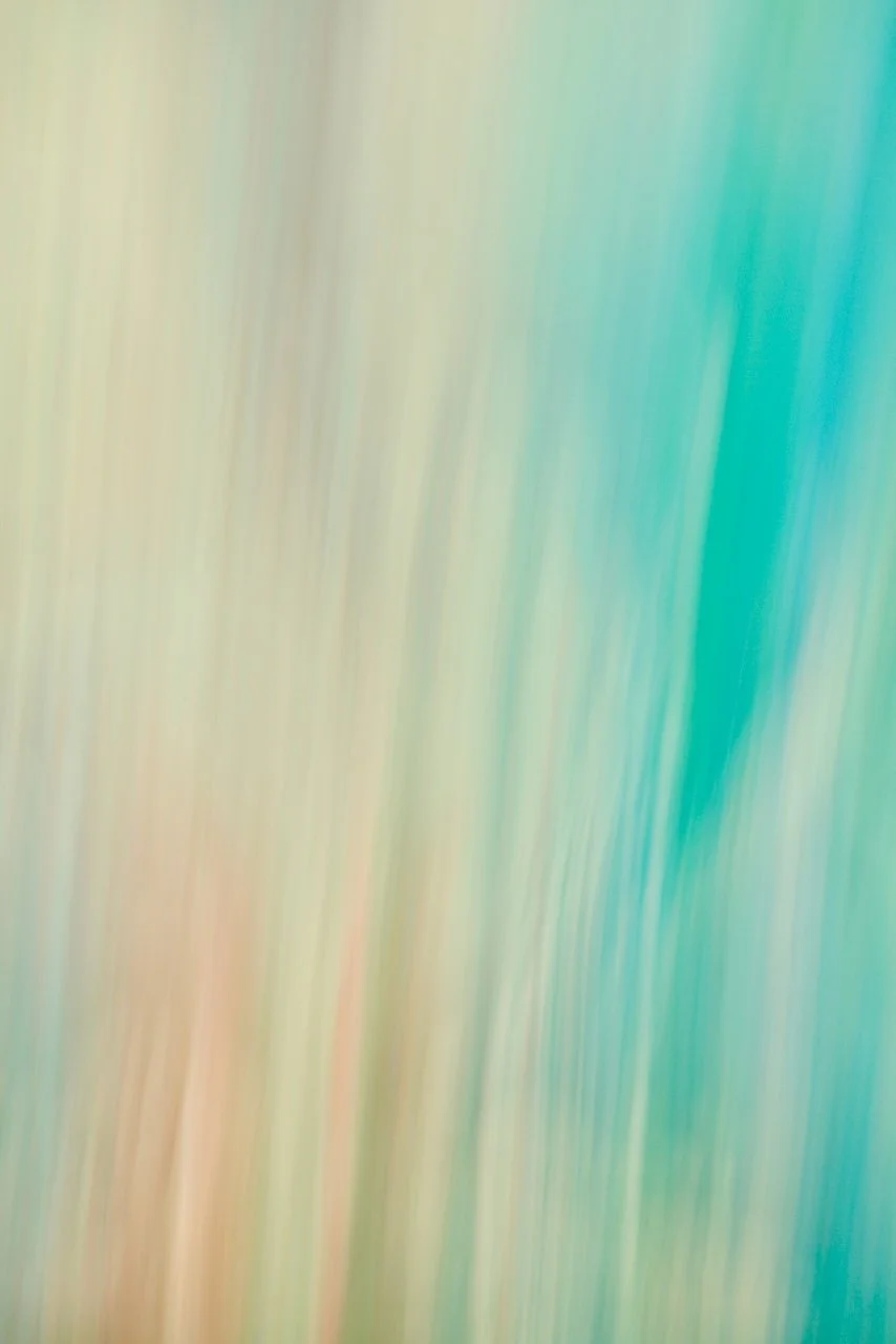  Movement 2024:327 (2024) C-print on wood panel, 60"x40" 