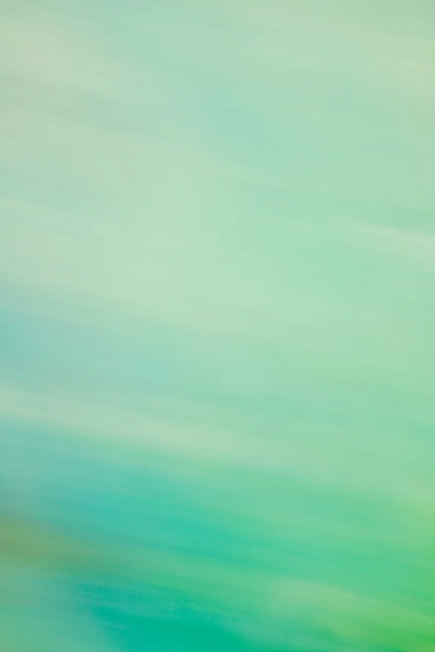  Movement 2024:328 (2024) C-print on wood panel, 60"x40" 