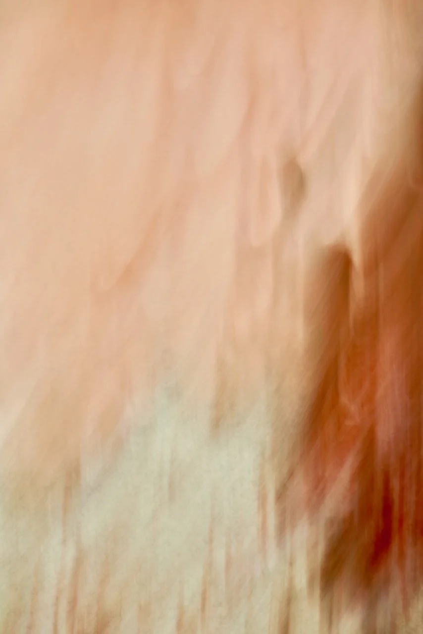  Movement 2024:331 (2024) C-print on wood panel, 60"x40" 