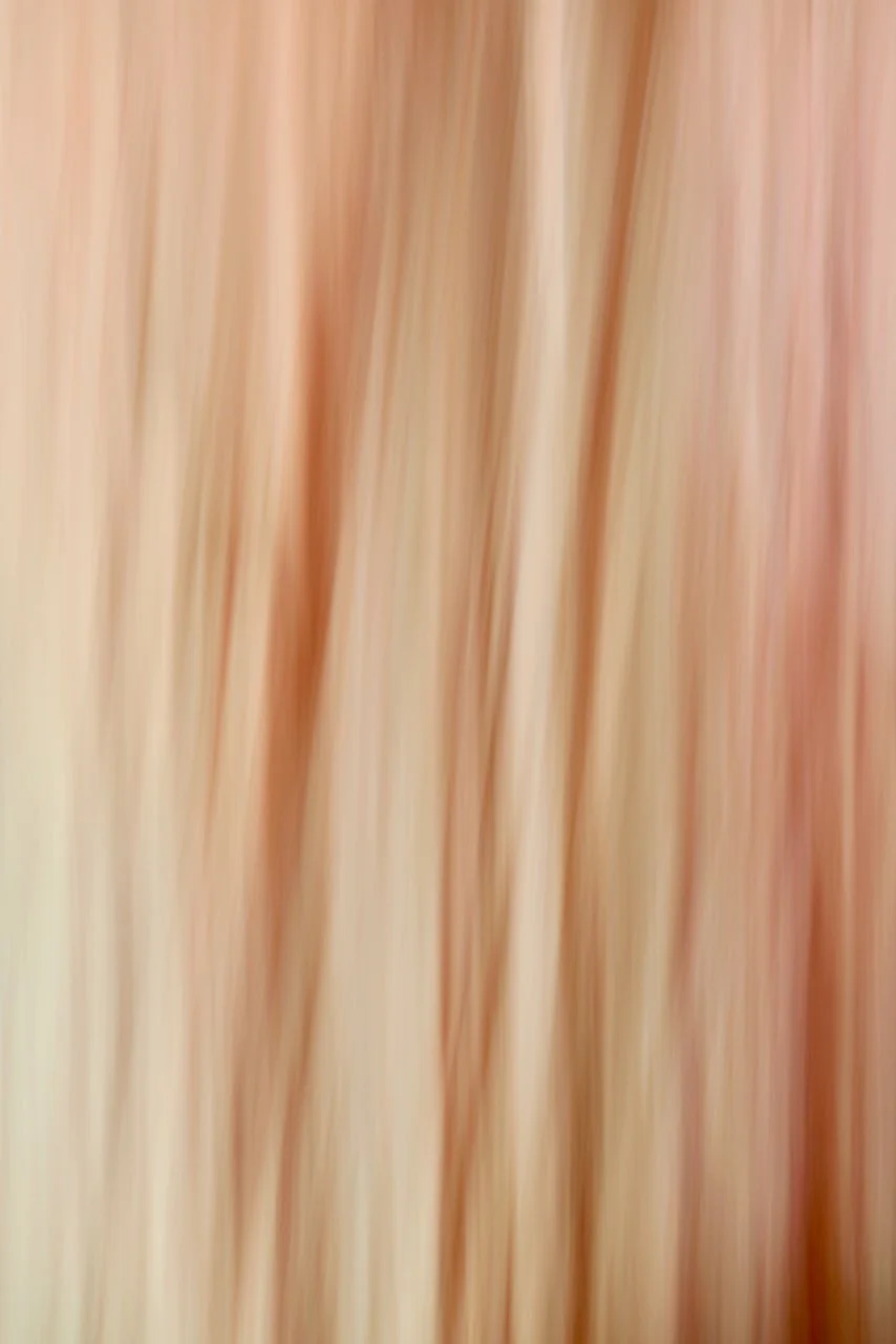  Movement 2024:332 (2024) C-print on wood panel, 60"x40" 