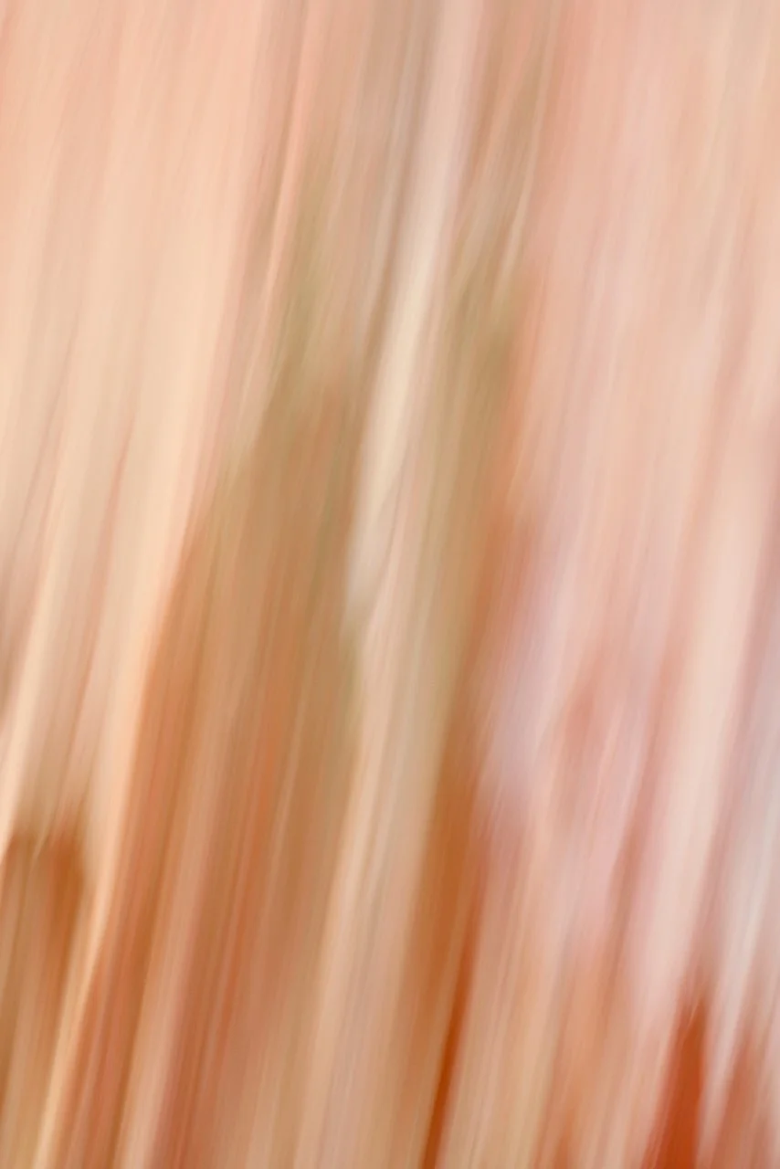  Movement 2024:333 (2024) C-print on wood panel, 60"x40" 