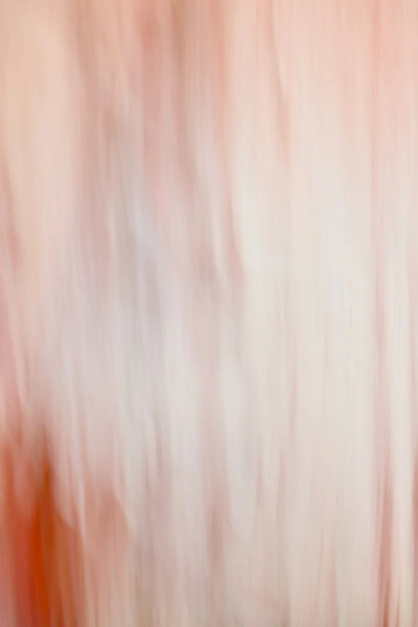  Movement 2024:334 (2024) C-print on wood panel, 60"x40" 