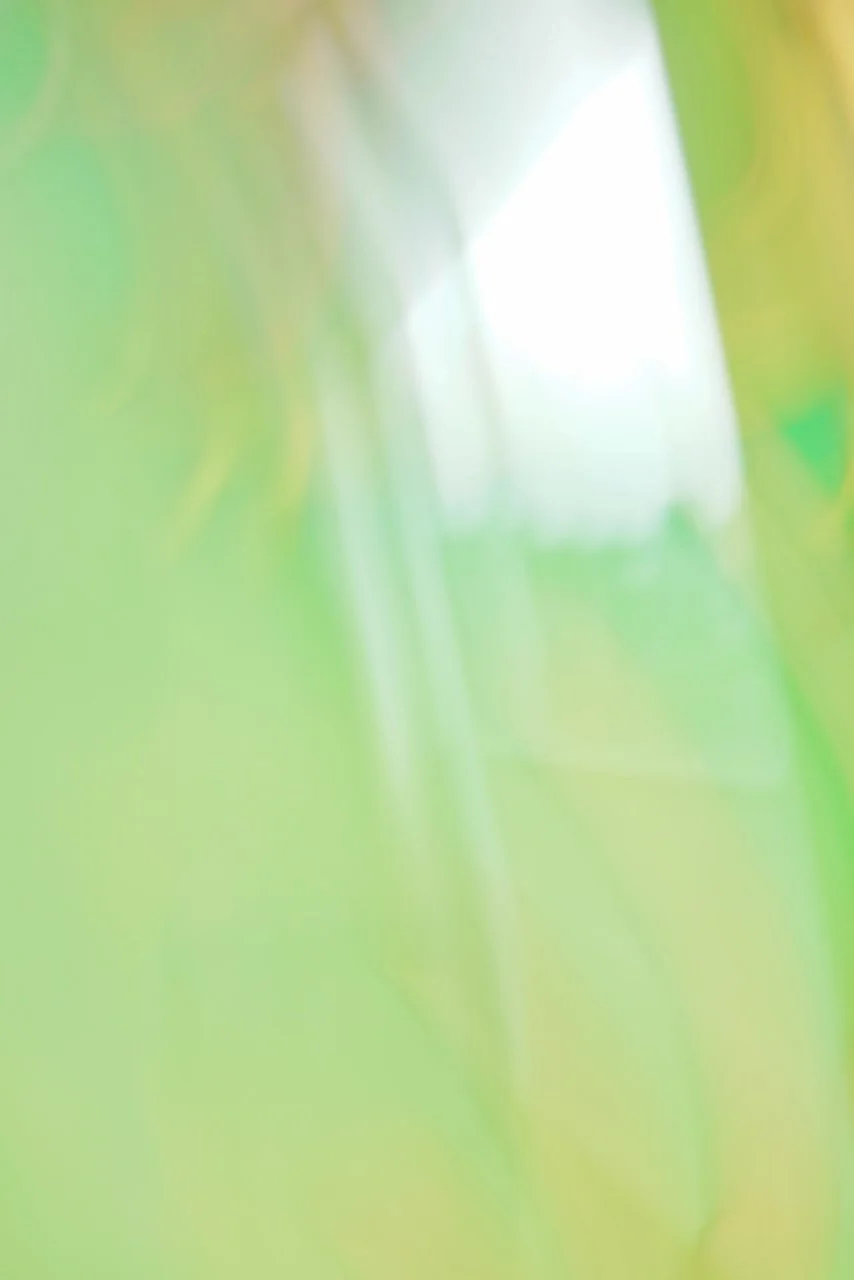  Movement 2024:335 (2024) C-print on wood panel, 60"x40" 