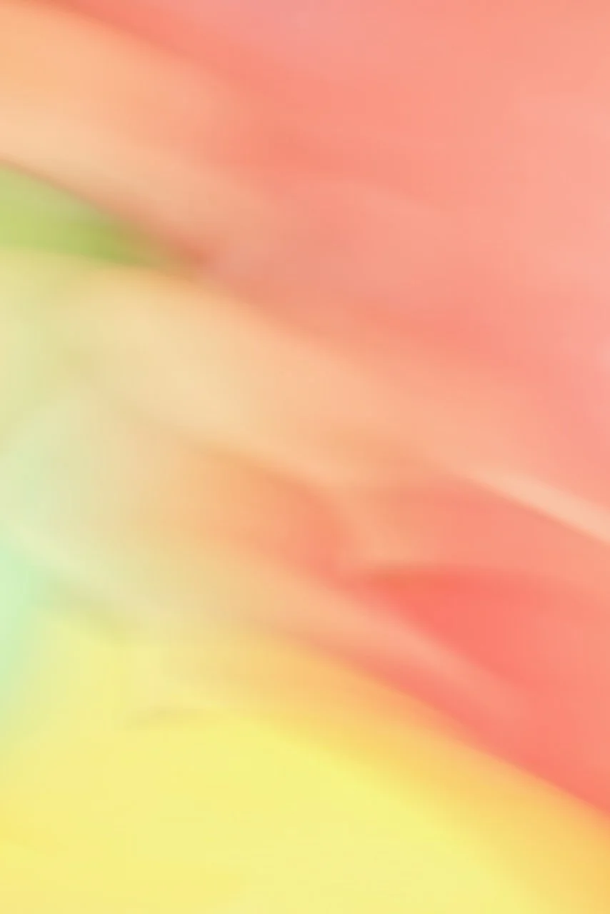  Movement 2024:338 (2024) C-print on wood panel, 60"x40" 