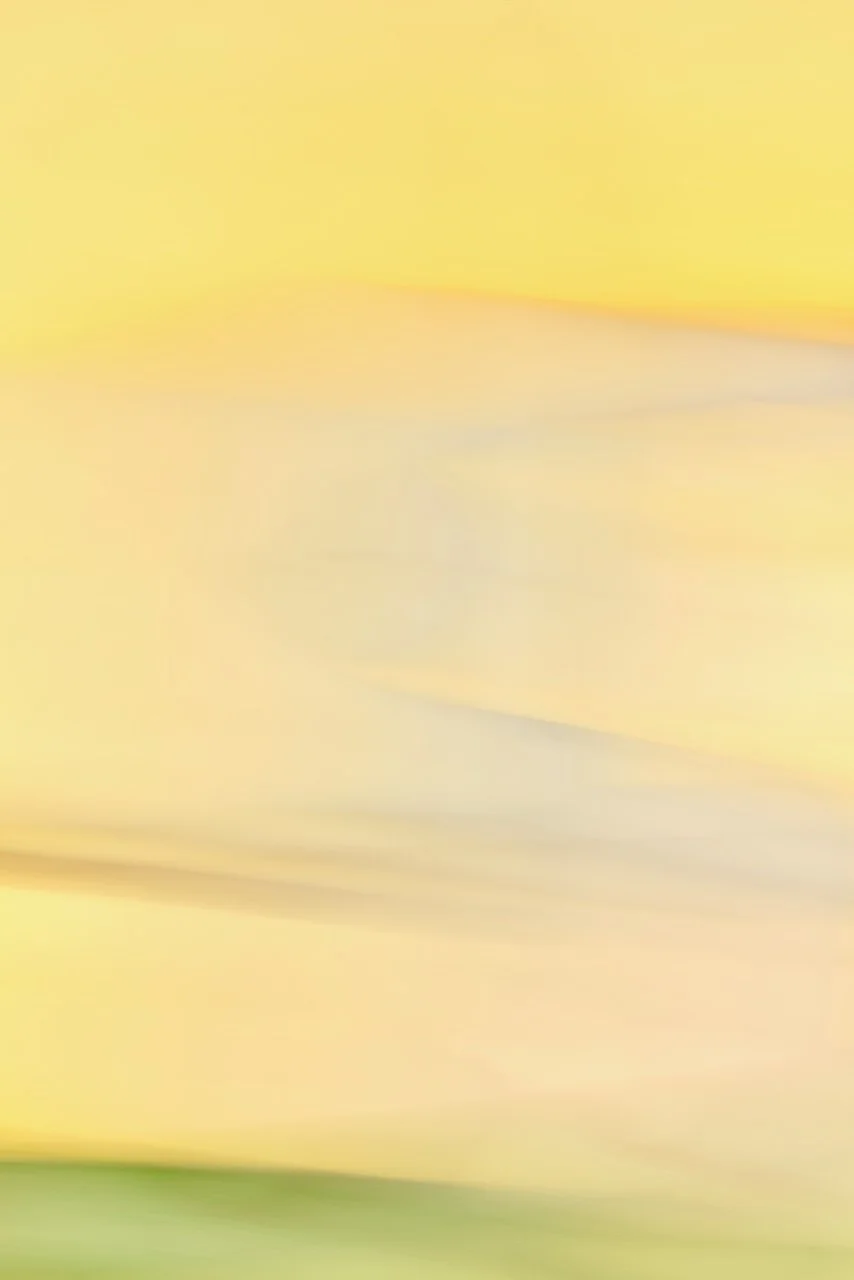  Movement 2024:339 (2024) C-print on wood panel, 60"x40" 