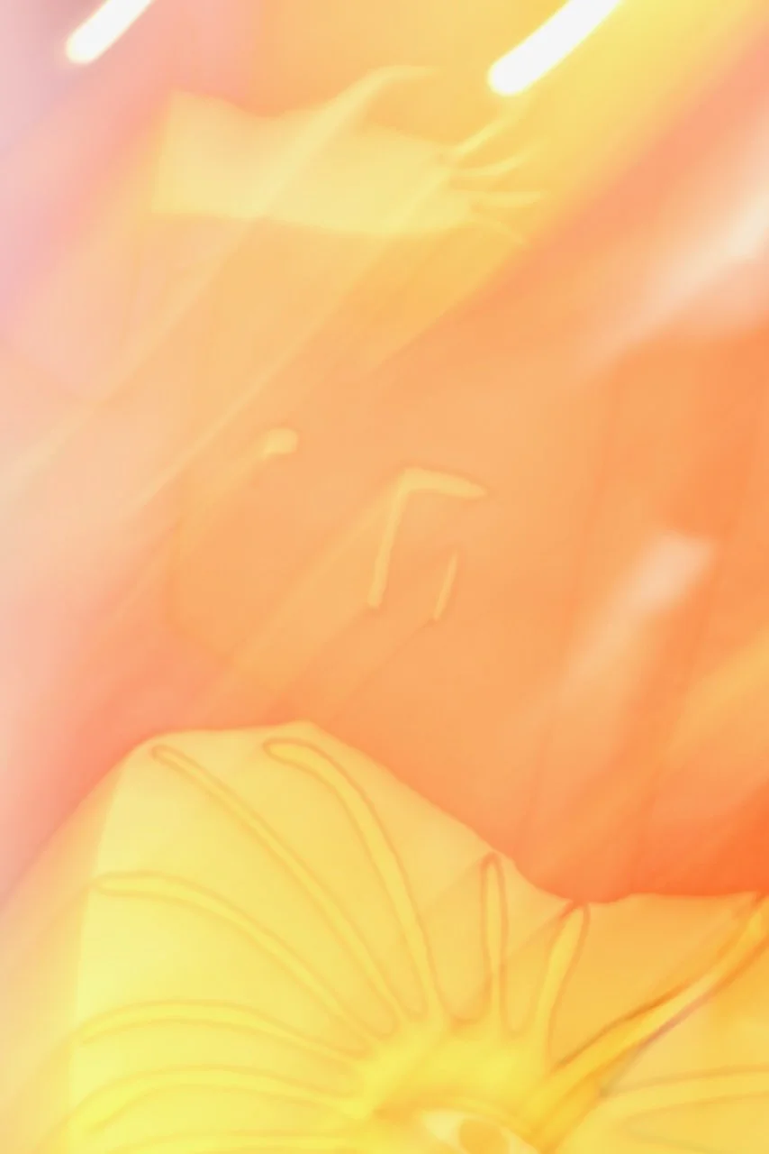  Movement 2024:340 (2024) C-print on wood panel, 60"x40" 