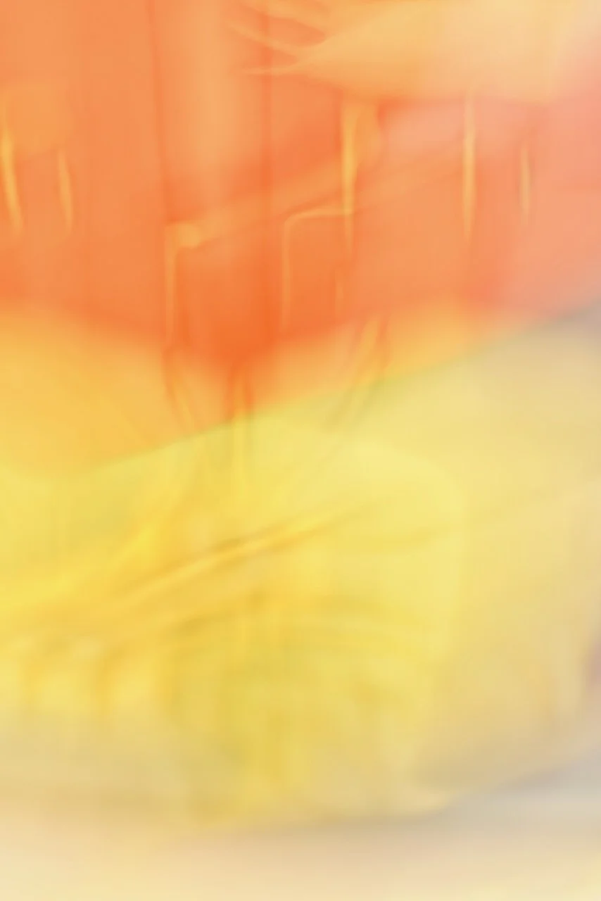  Movement 2024:341 (2024) C-print on wood panel, 60"x40" 