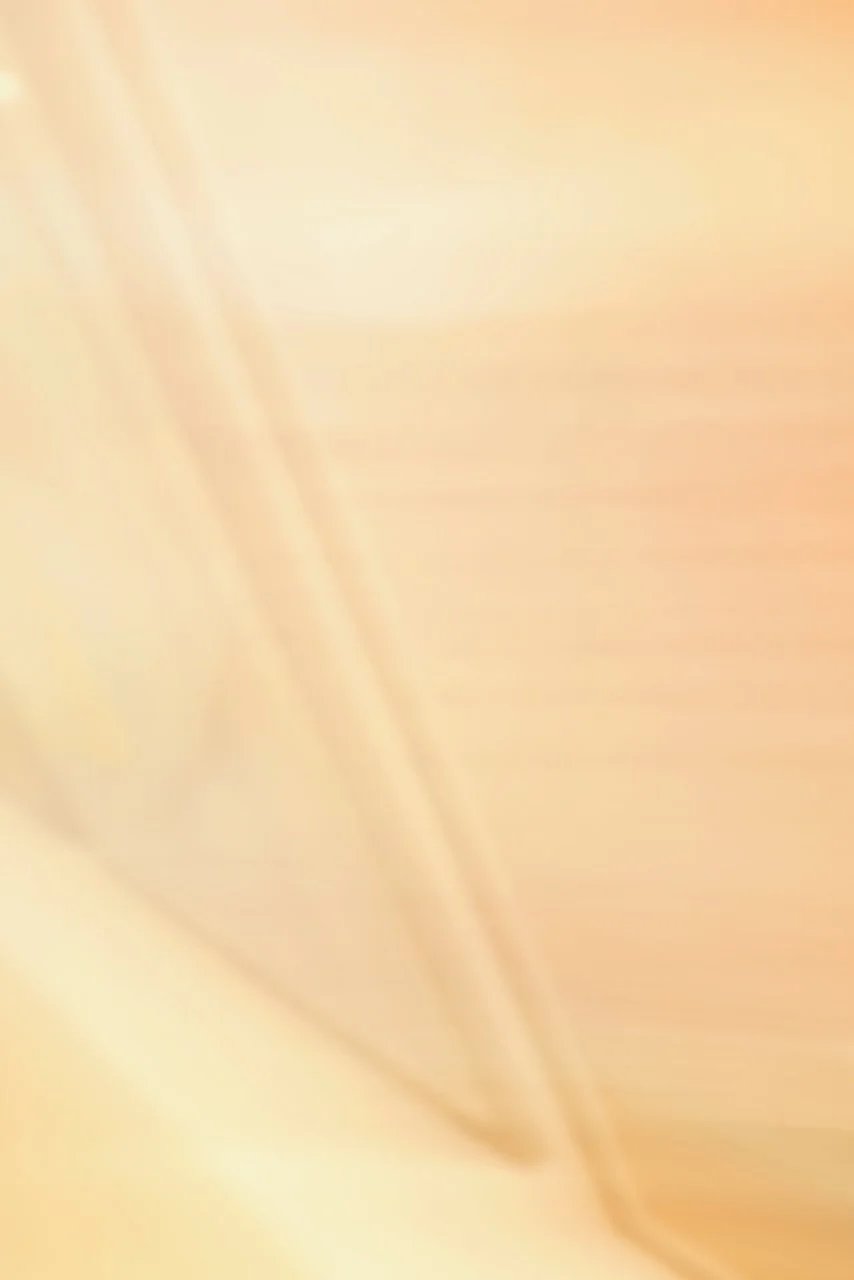  Movement 2024:342 (2024) C-print on wood panel, 60"x40" 