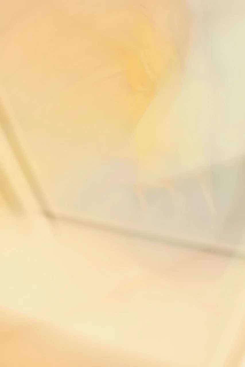  Movement 2024:344 (2024) C-print on wood panel, 60"x40" 