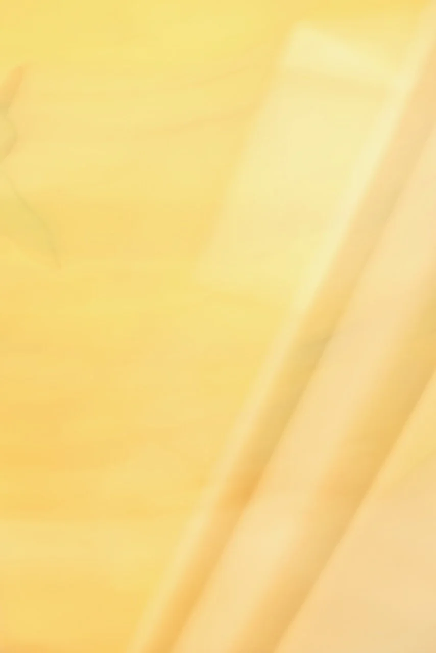  Movement 2024:345 (2024) C-print on wood panel, 60"x40" 