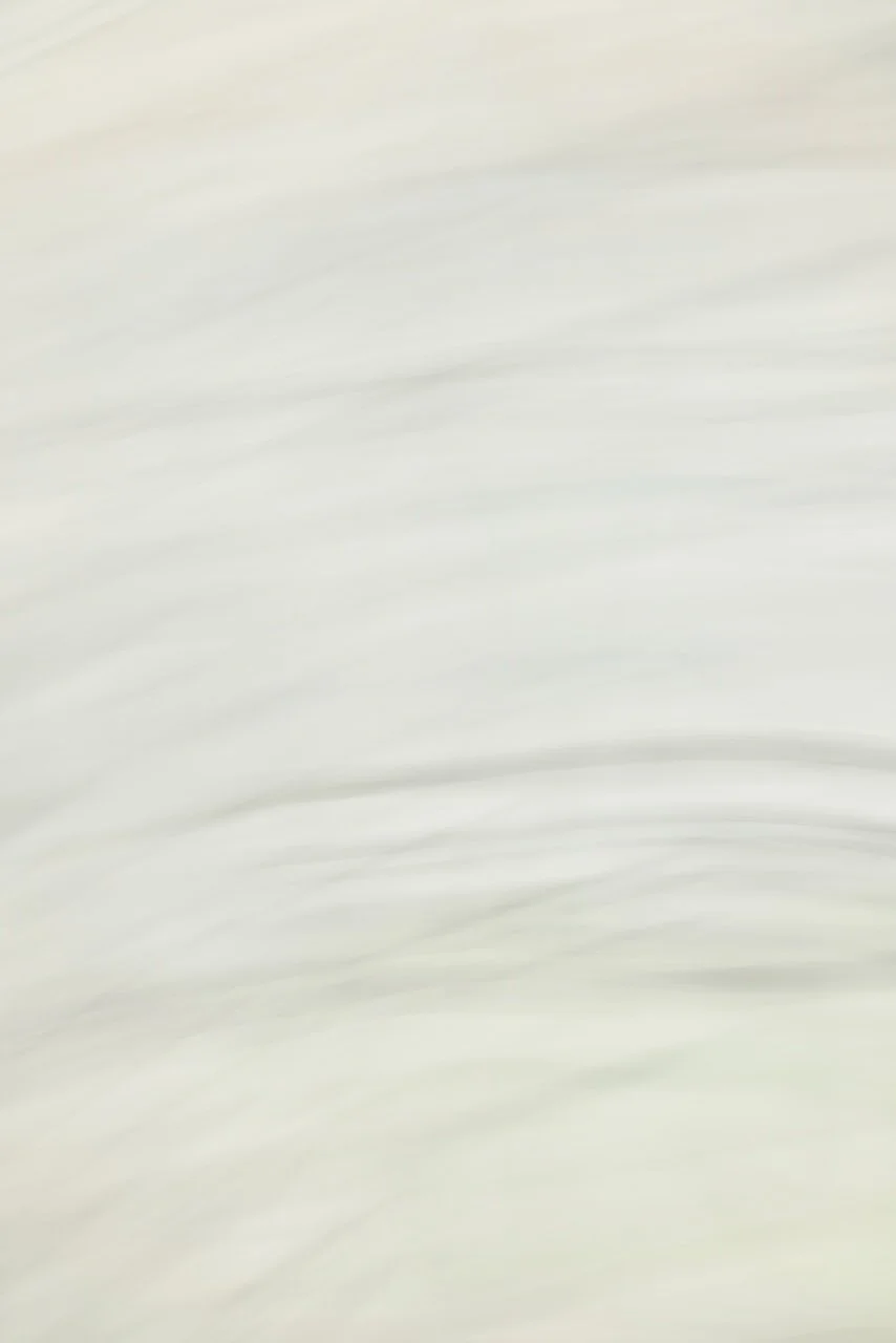  Movement 2024:346 (2024) C-print on wood panel, 60"x40" 