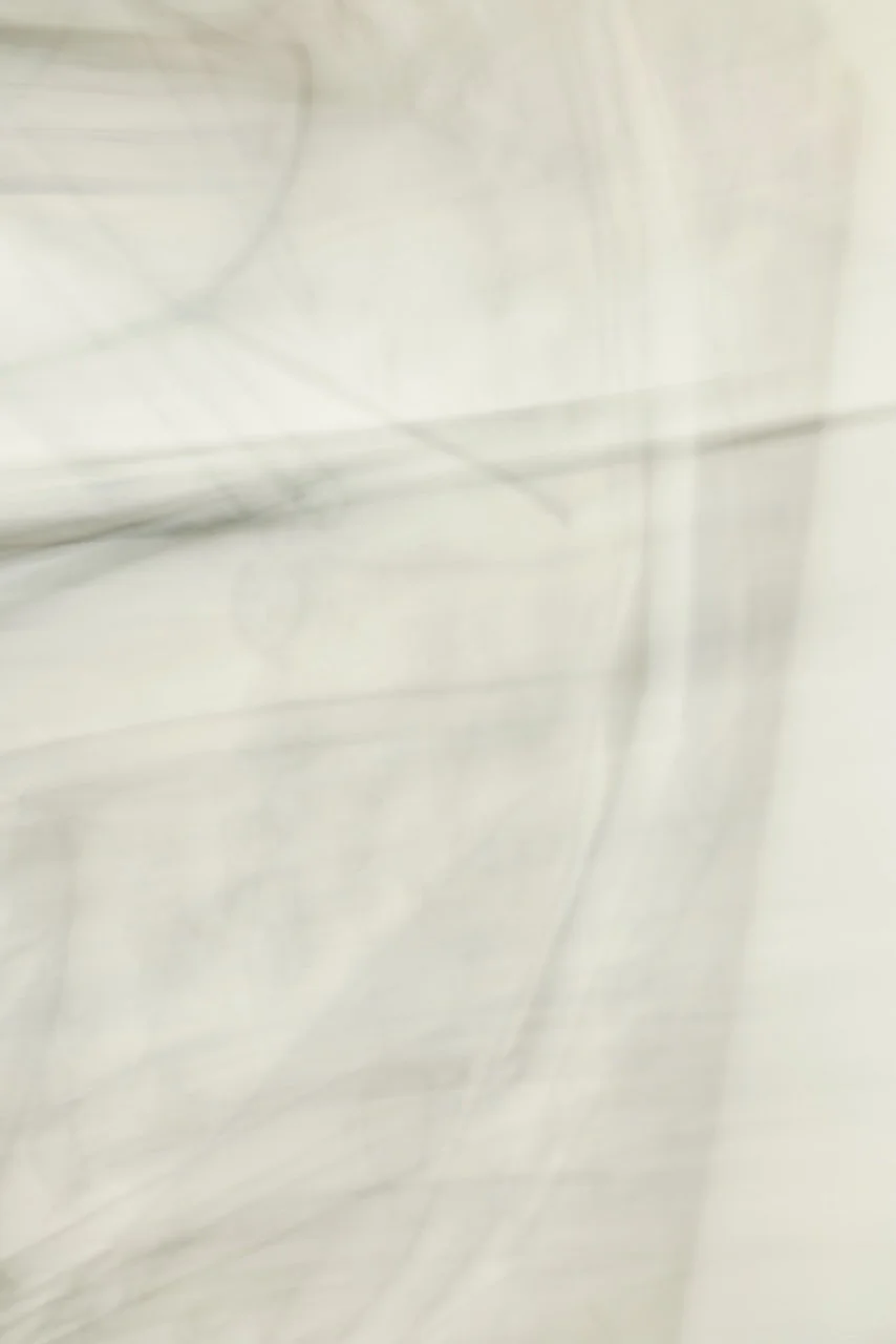  Movement 2024:348 (2024) C-print on wood panel, 60"x40" 