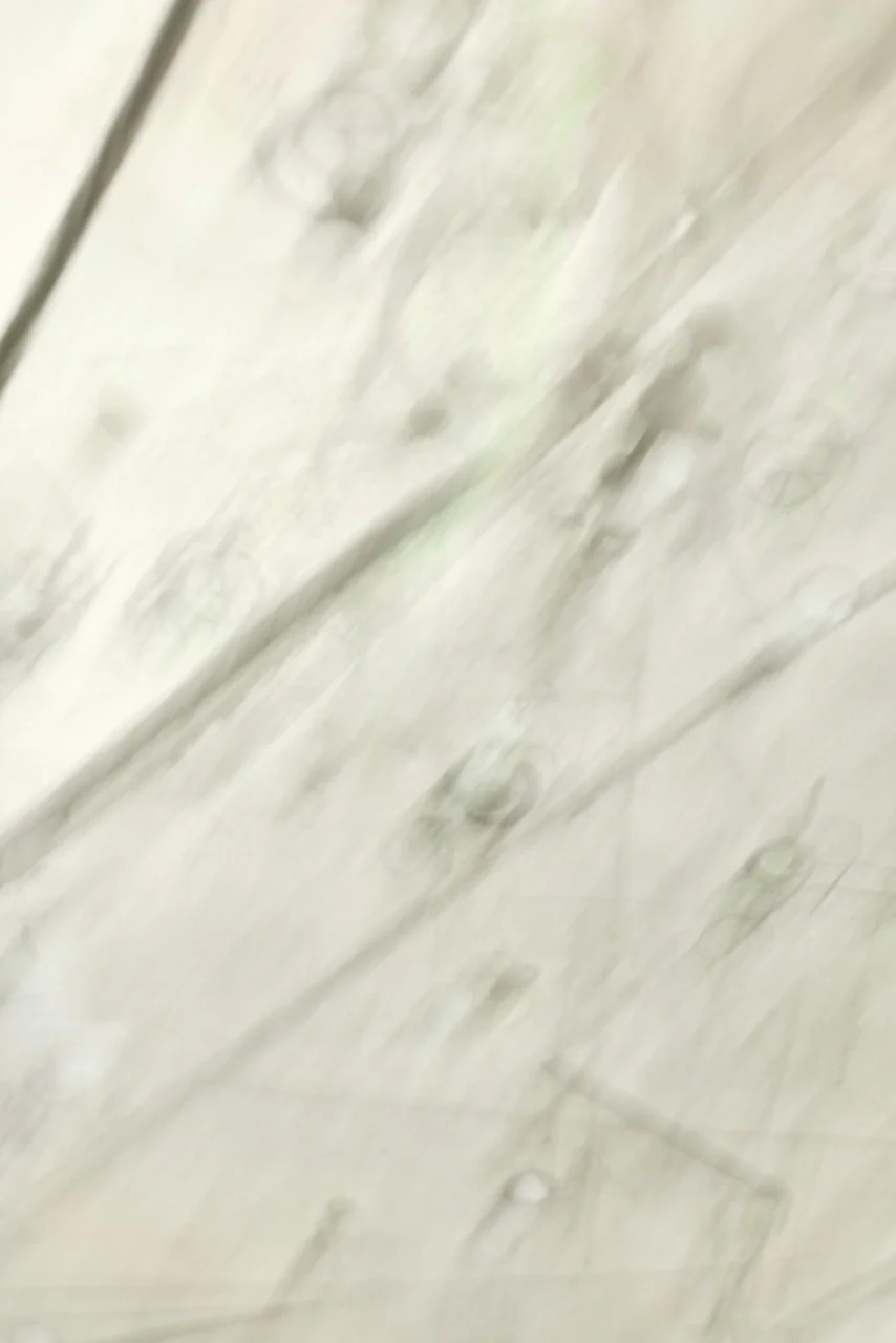  Movement 2024:350 (2024) C-print on wood panel, 60"x40" 