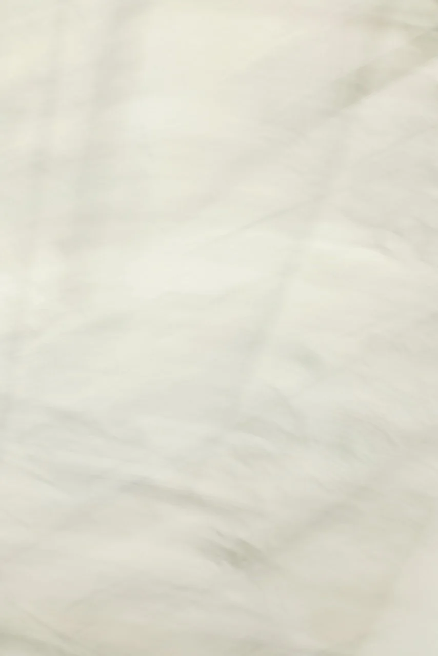  Movement 2024:351 (2024) C-print on wood panel, 60"x40" 