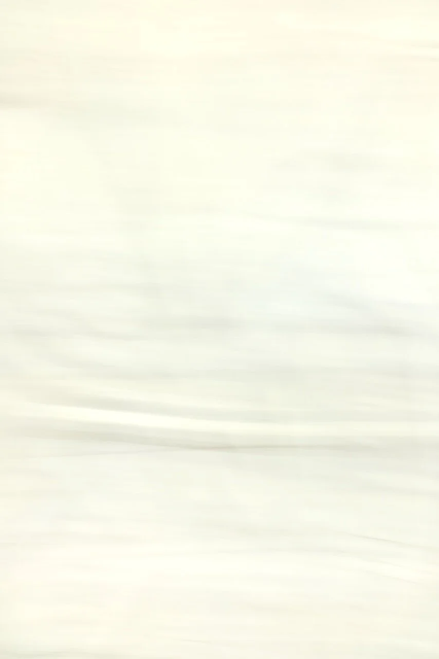  Movement 2024:352 (2024) C-print on wood panel, 60"x40" 