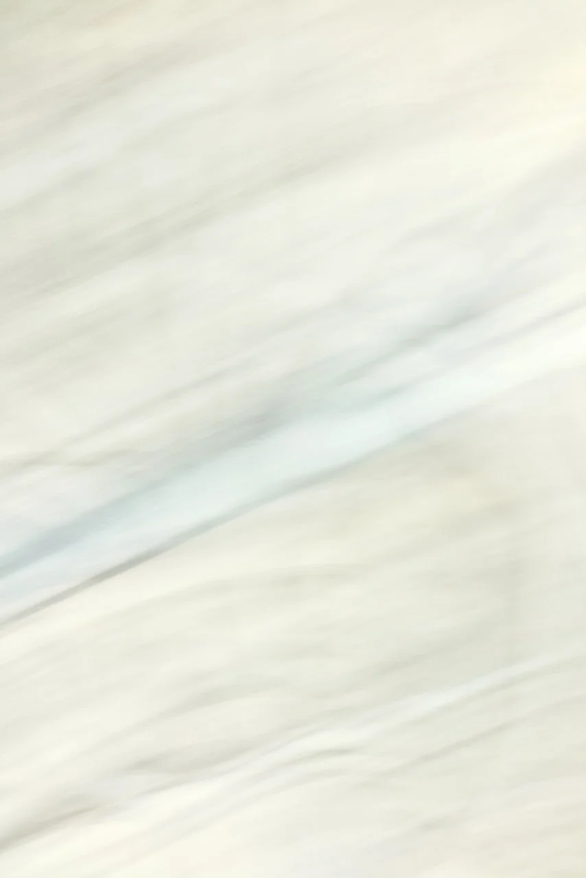  Movement 2024:353 (2024) C-print on wood panel, 60"x40" 