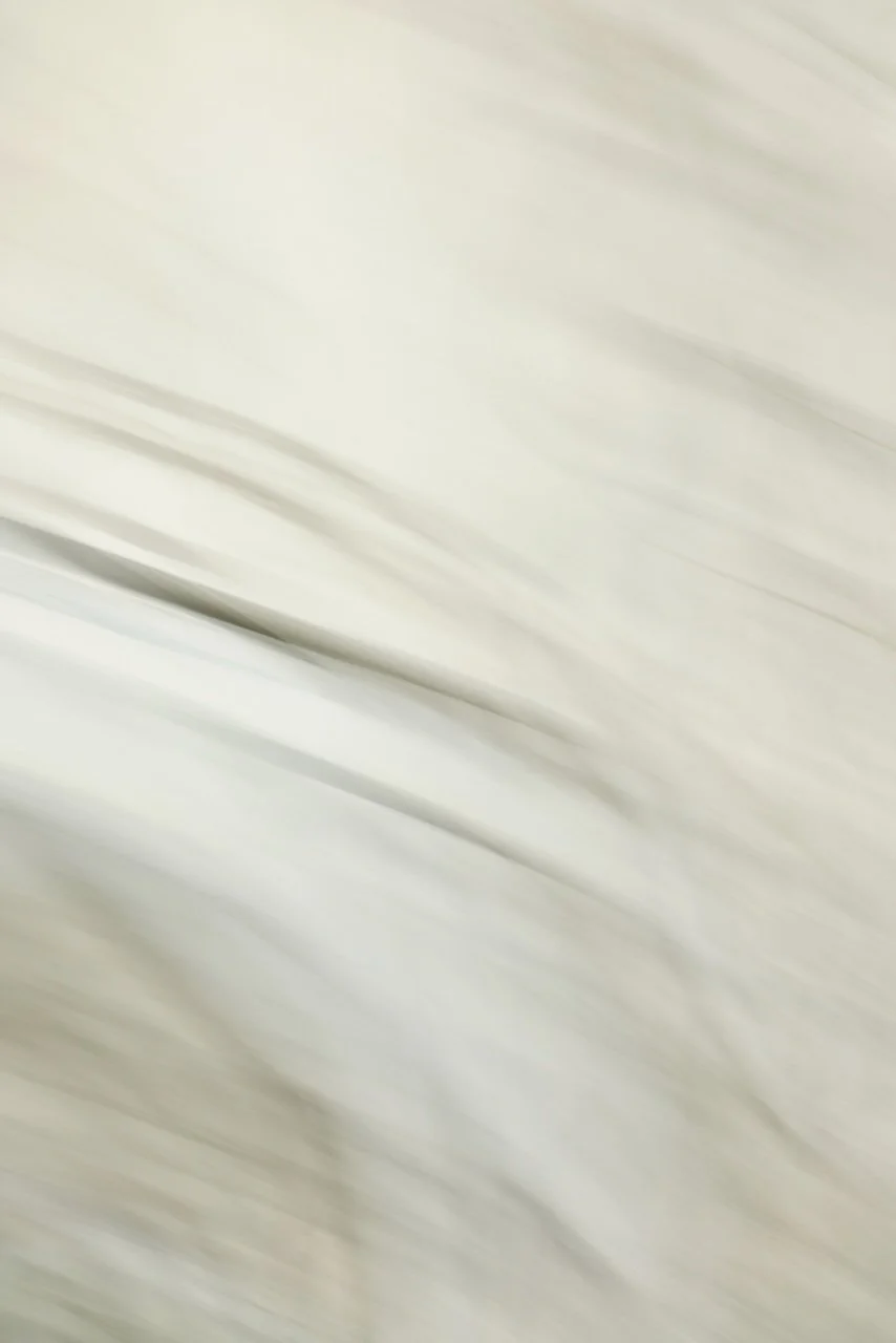  Movement 2024:354 (2024) C-print on wood panel, 60"x40" 