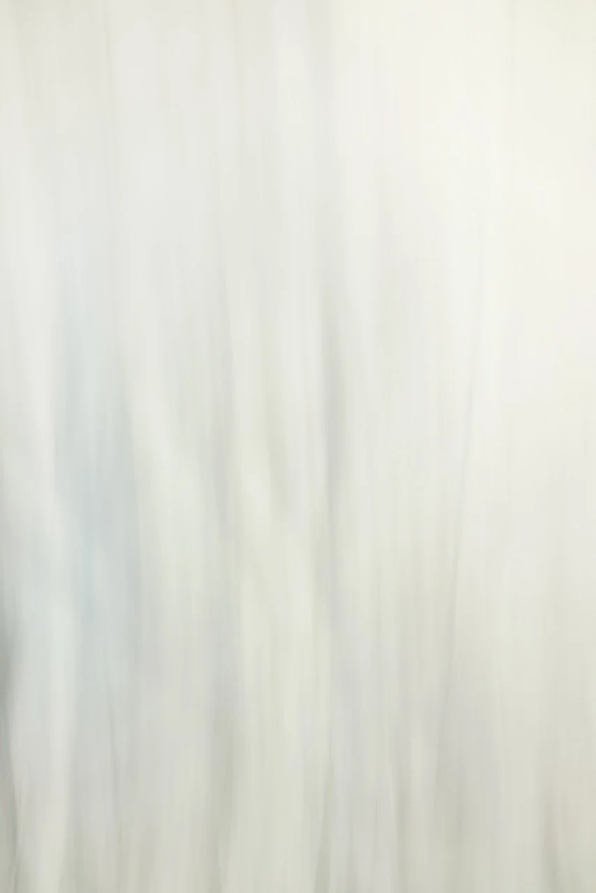  Movement 2024:355 (2024) C-print on wood panel, 60"x40" 