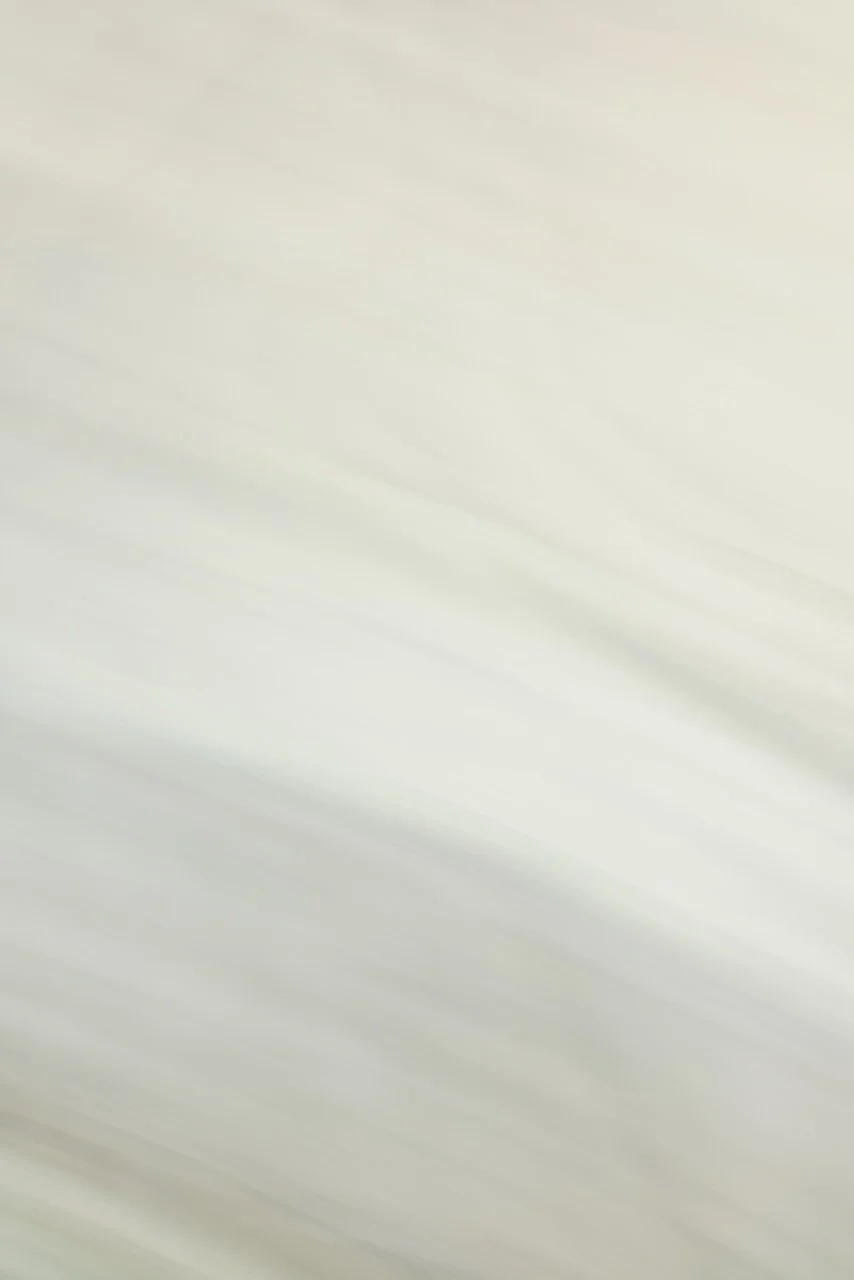  Movement 2024:356 (2024) C-print on wood panel, 60"x40" 