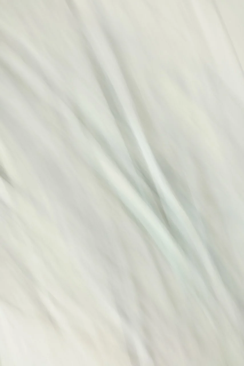  Movement 2024:357 (2024) C-print on wood panel, 60"x40" 