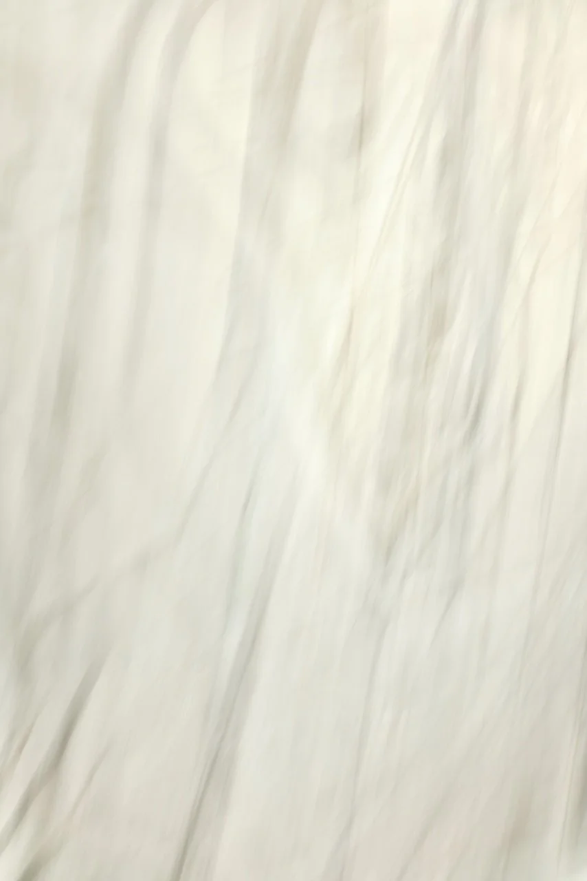  Movement 2024:358 (2024) C-print on wood panel, 60"x40" 